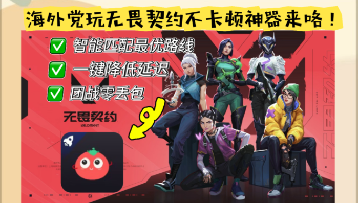 归雁加速器常见问题教程