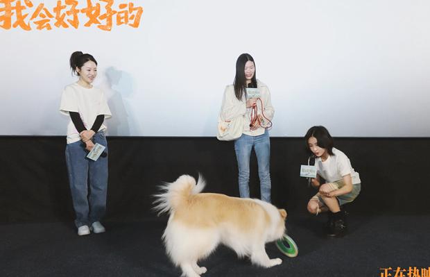 爱奇艺在国外地域限制怎么解决教程